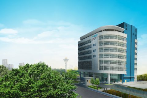 Introducing…Picaso Hospital!